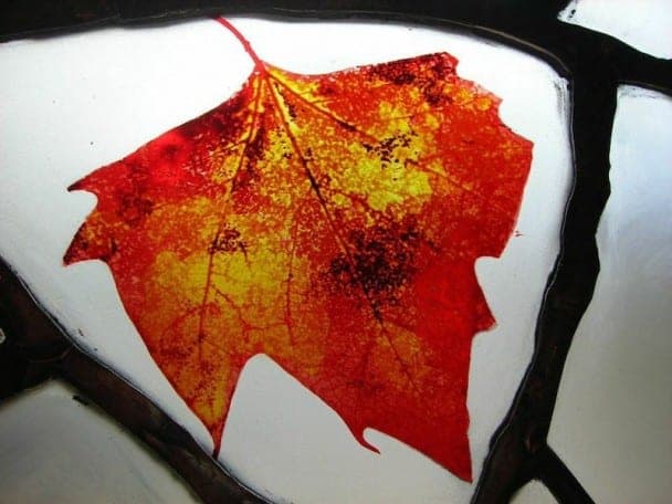 Nature Stained Glass Windows